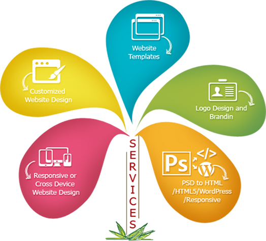 CAUA TRADING CO LTD  , Website Design & Hosting Company